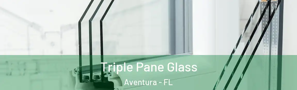  Triple Pane Glass Aventura - FL