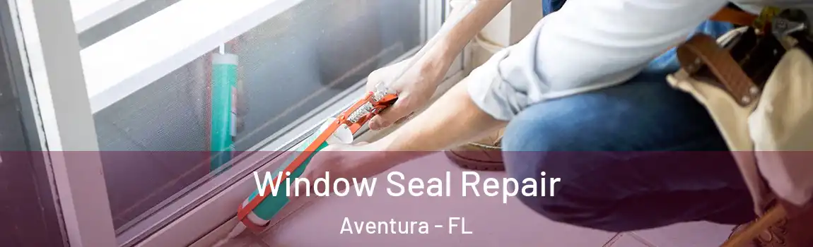  Window Seal Repair Aventura - FL